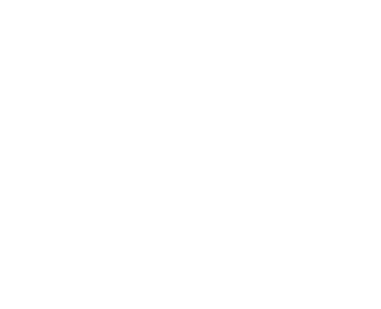 Hotel Solutions and Design